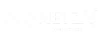 NetZaj Consultores